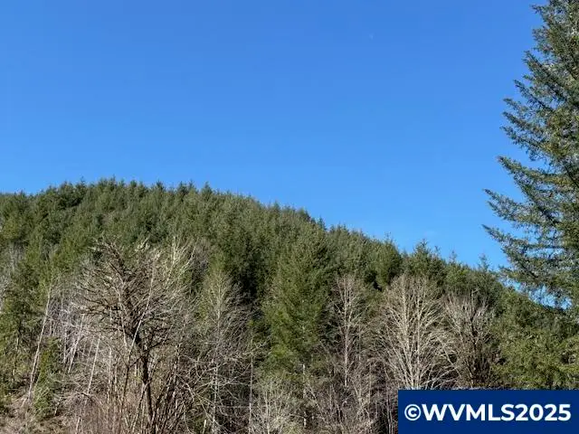 000  Logsden Rd, Blodgett, OR 97326 - Image #2