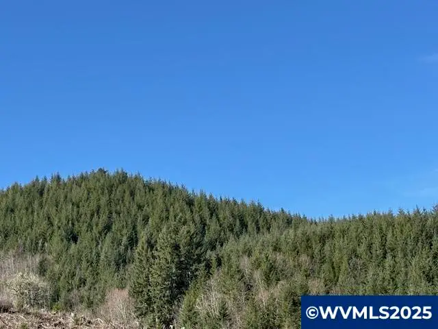 000  Logsden Rd, Blodgett, OR 97326 - Image #3