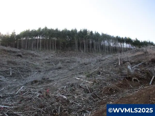 000  Abiqua Dam (SMALL) Rd, Silverton, OR 97381 - Image #2