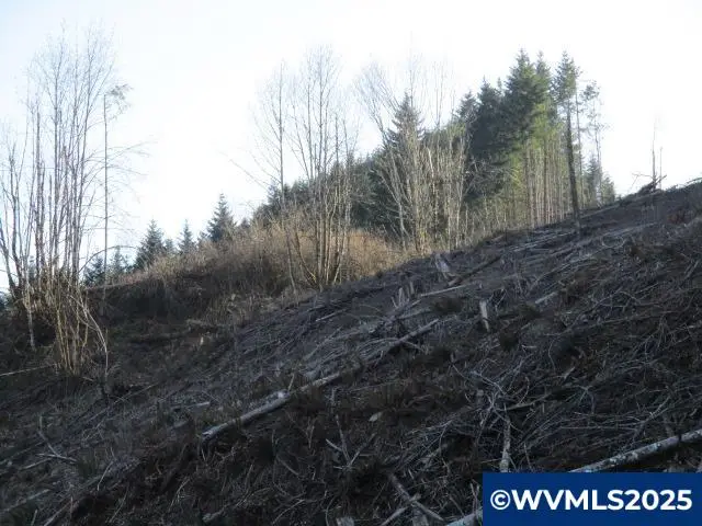 000  Abiqua Dam (SMALL) Rd, Silverton, OR 97381 - Image #3