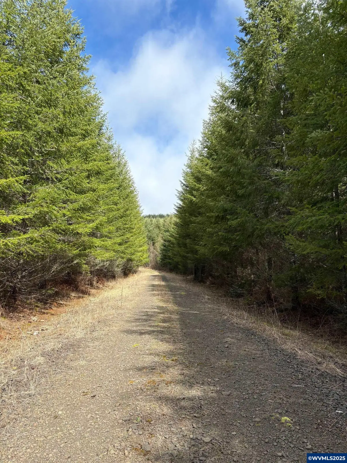 0  Boiler Creek Rd, Springfield, OR 97478 - Image #1