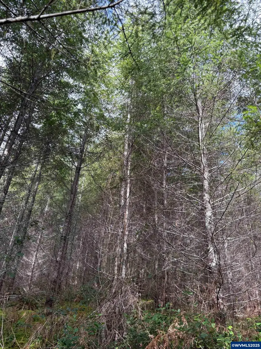 0  Boiler Creek Rd, Springfield, OR 97478 - Image #2