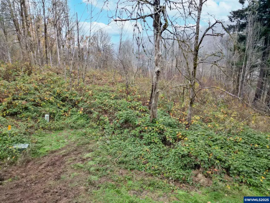 11065  Winstanley Dr SE, Lyons, OR 97358 - Image #3