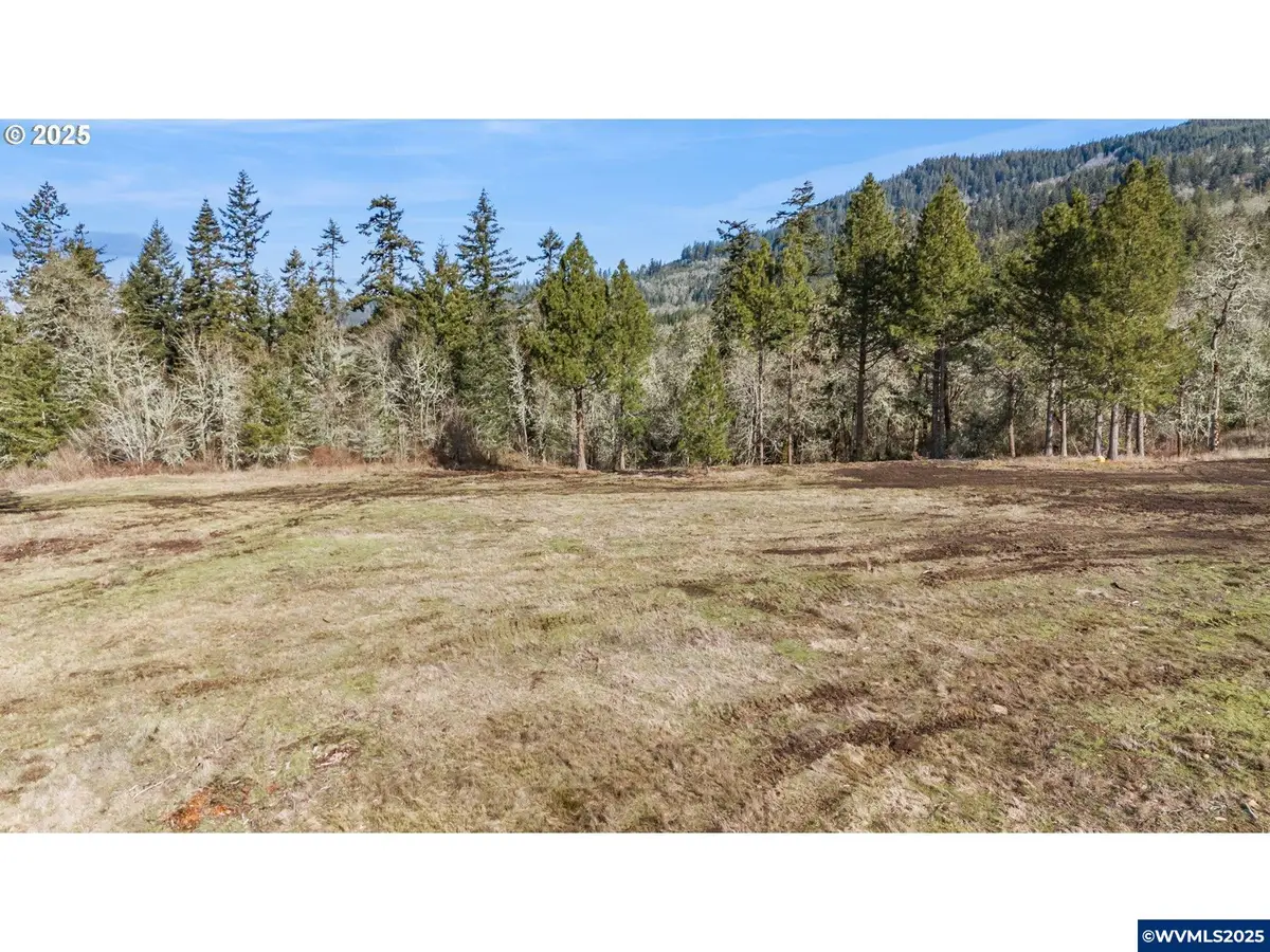 Lot  1 Dr, Harrisburg, OR 97446 - Image #1