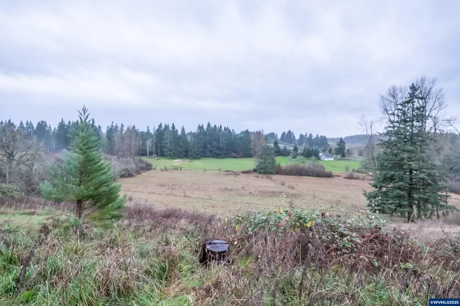 39142  Loma Dr, Scio, OR 97374 - Image #3