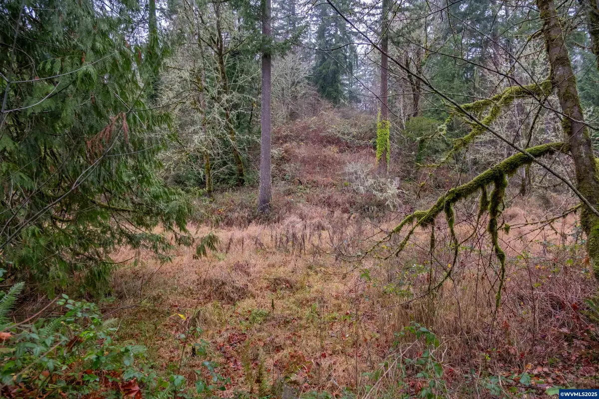 38353 SW Laurelwood Rd, Gaston, OR 97119 - #1