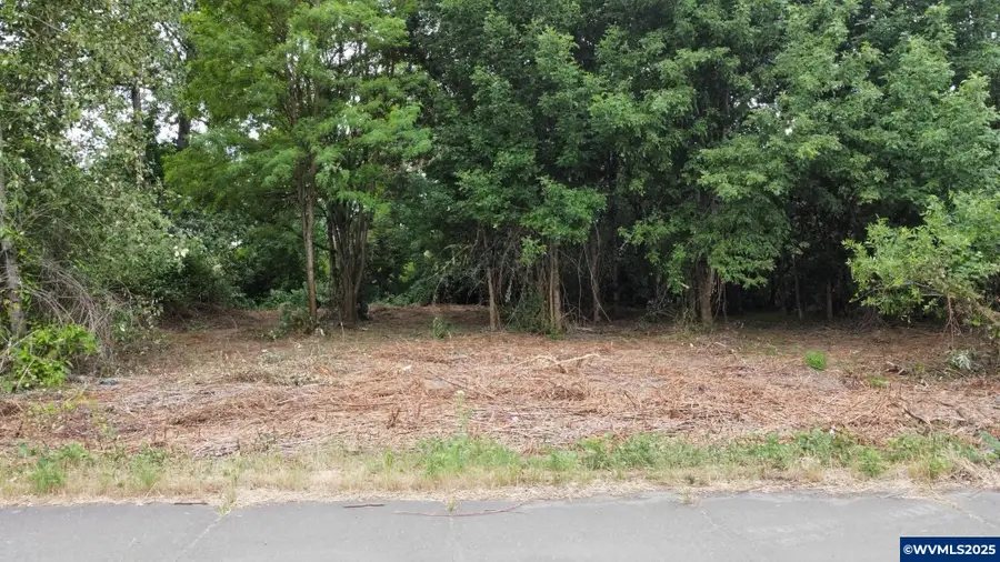 Pacific N of Morse Bl, Albany, OR 97321 - Image #2