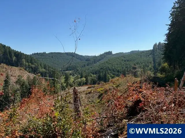 00  Van Horn Rd, Alsea, OR 97324 - Image #3