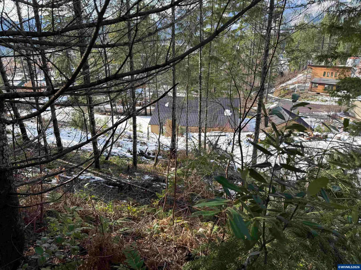 145  Scott Av S, Detroit, OR 97342 - Image #1