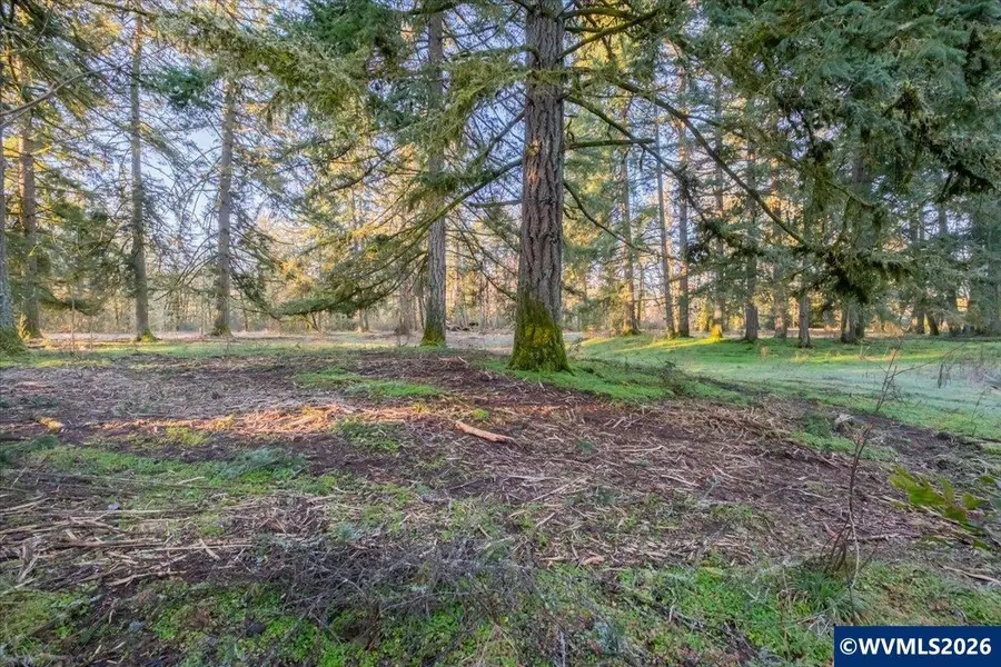 11997  Towers Dr, Stayton, OR 97383 - Image #3