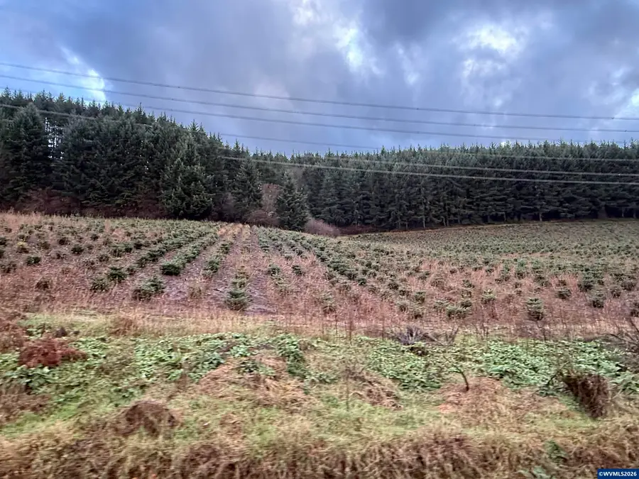 TL 800  Siegmund Rd SE, Stayton, OR 97383 - #3