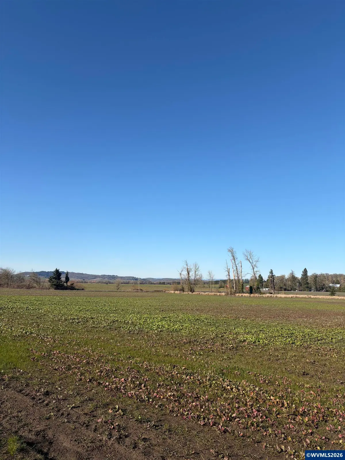 850 N Greenwood Rd (East of) Rd, Rickreall, OR 97371 - #1