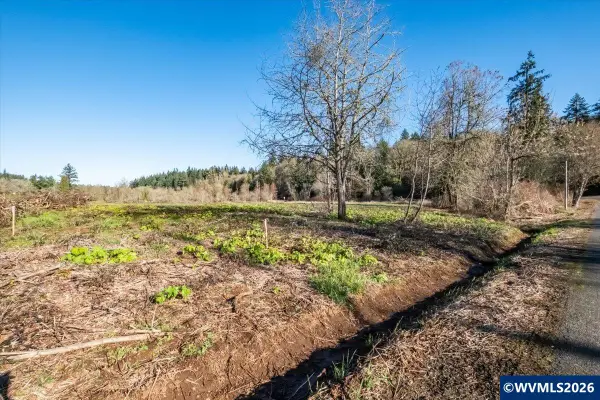 Lot #1  Ballyntyne Rd, Salem, OR 97302