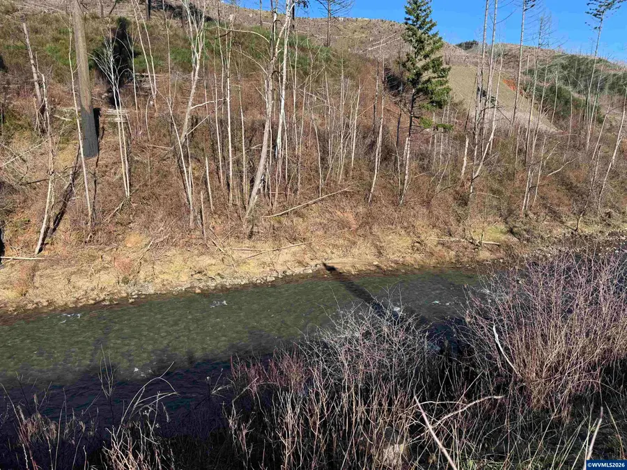 25497  Taylor Park Rd SE, Lyons, OR 97358 - #3