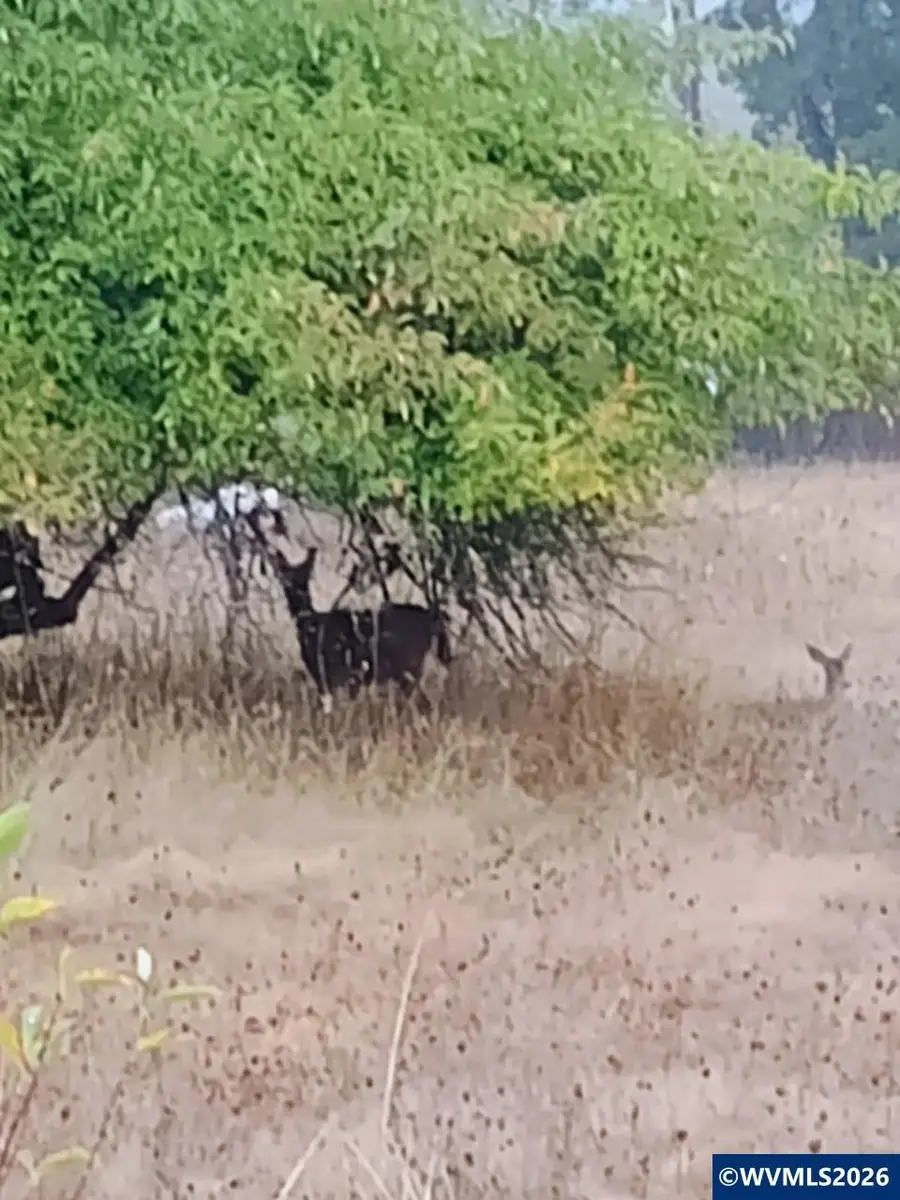 826 SW Cherry St, Willamina, OR 97396 - #3