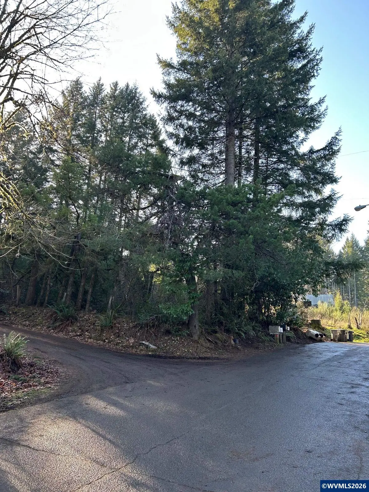 995  Parry Rd, Falls City, OR 97344 - #1