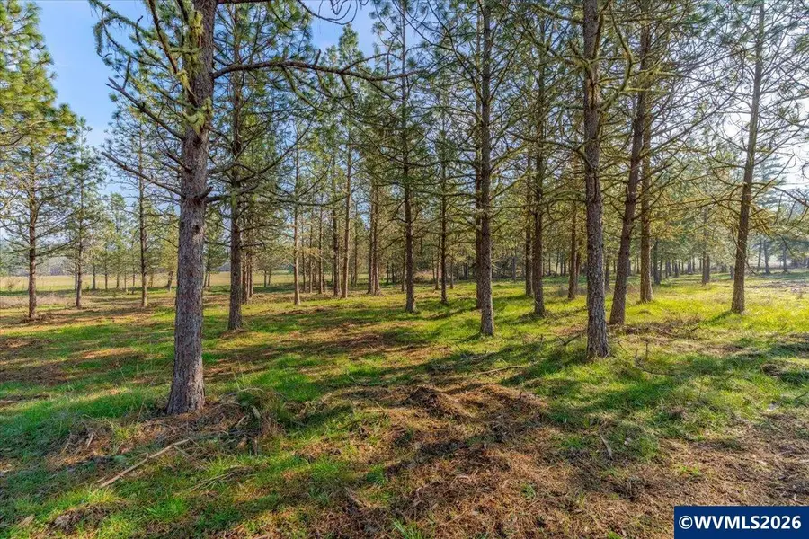 0060356 TAX Lot  Old Bellinger Scale Rd, Lebanon, OR 97355 - #3