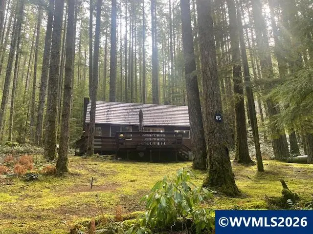 65 B  Stahlman Forest Service 049 Rd, Seal Rock, OR 97346 - #1