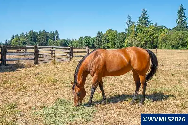 33844 SE White Oak Rd, Corvallis, OR 97333 - #2