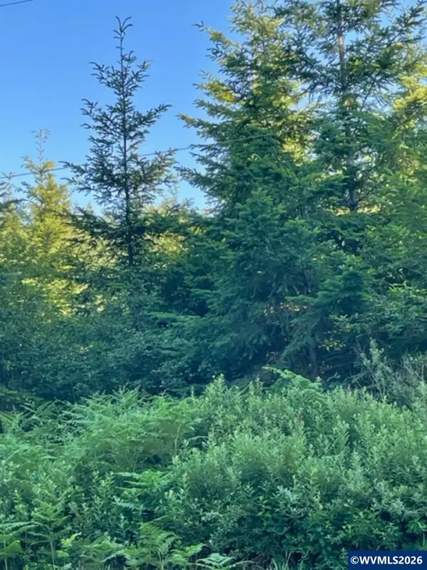 00 SE Wildcat Mountain Dr, Sandy, OR 97055