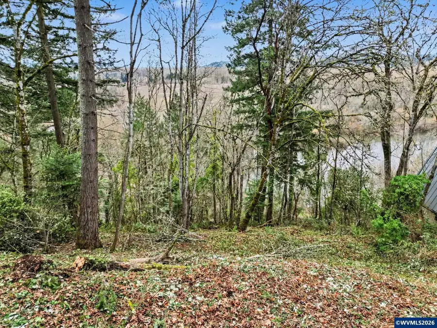 1765 (next to)  Alta View Dr S, Salem, OR 97302 - #2