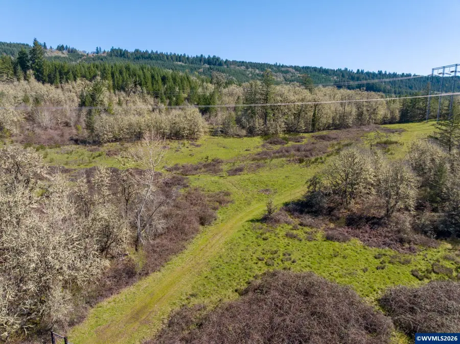 TL 823181  Scott Mountain Rd, Sweet Home, OR 97386 - #3