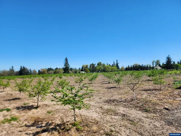 36501  Gilkey Rd, Scio, OR 97374