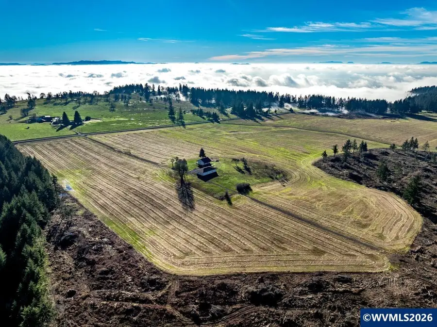 42172  Rodgers Mountain Lp, Scio, OR 97374 - #3