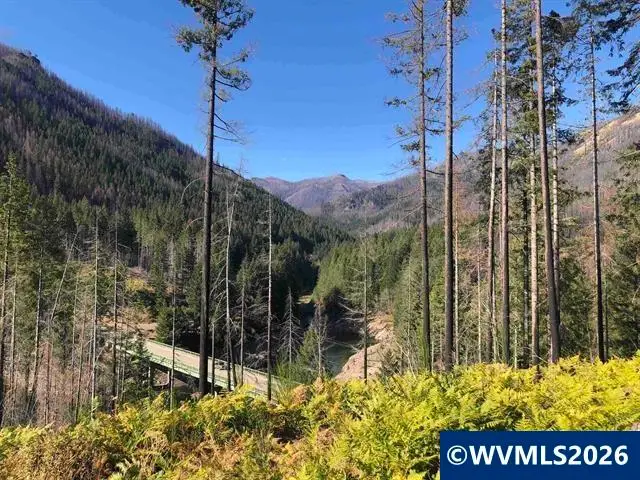 105  1st St W, Detroit, OR 97342 - #3