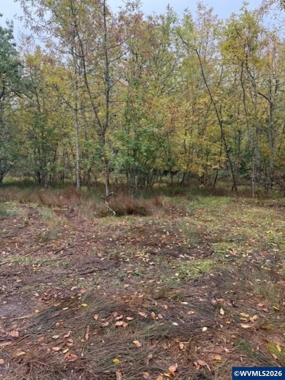 Mountain Home Dr, Brownsville, OR 97327 - #1