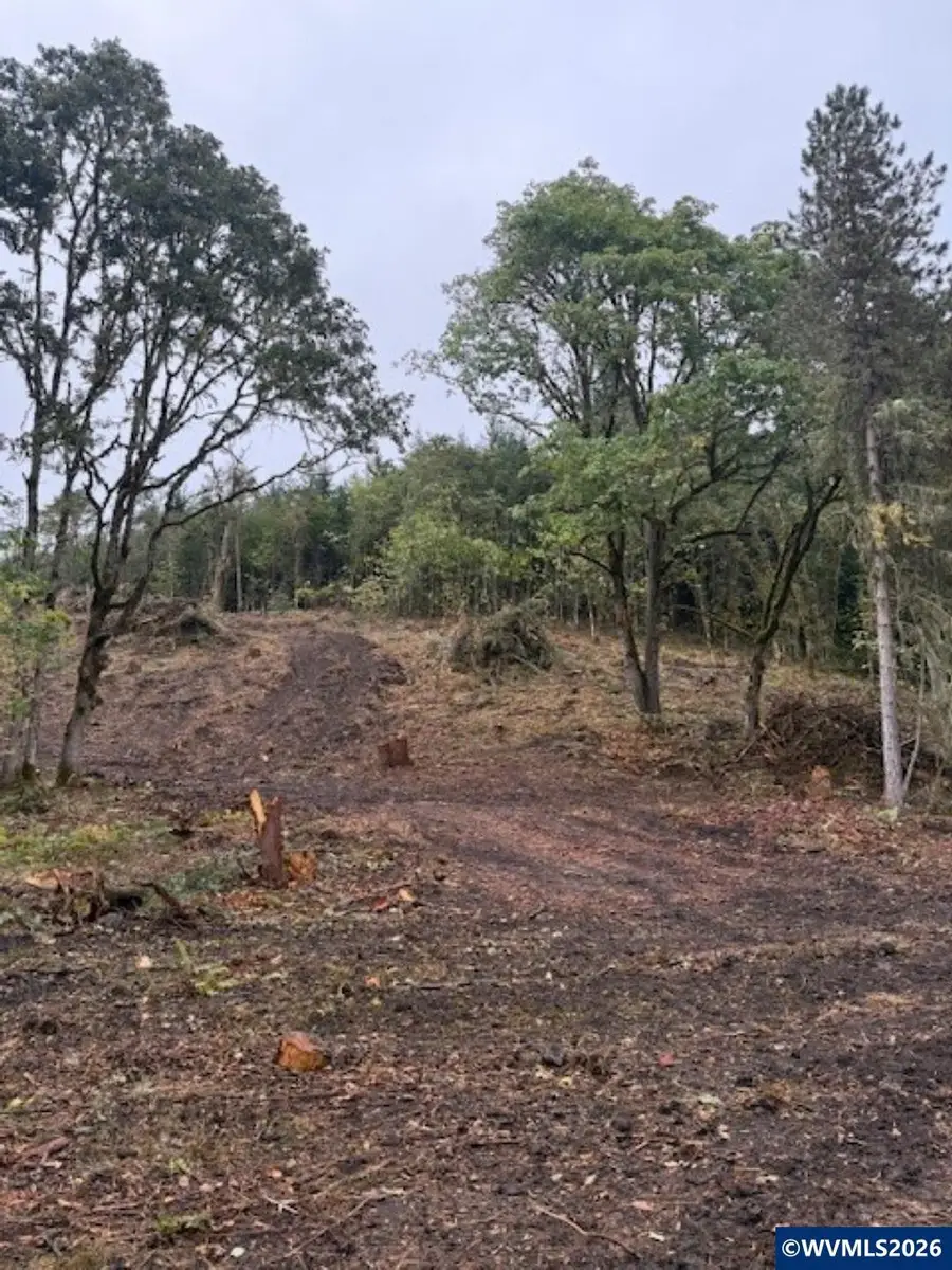 Mountain Home Dr, Brownsville, OR 97327 - #2