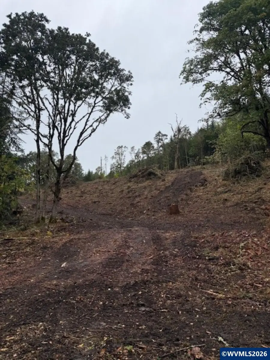 Mountain Home Dr, Brownsville, OR 97327 - #3