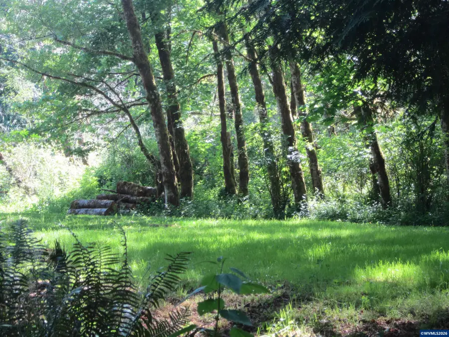26809  Cecil Ln, Alsea, OR 97324 - #2