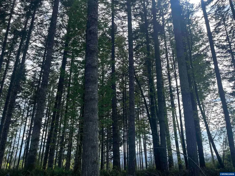 Lot 13 SW Rock Creek Rd, Sheridan, OR 97378 - #2