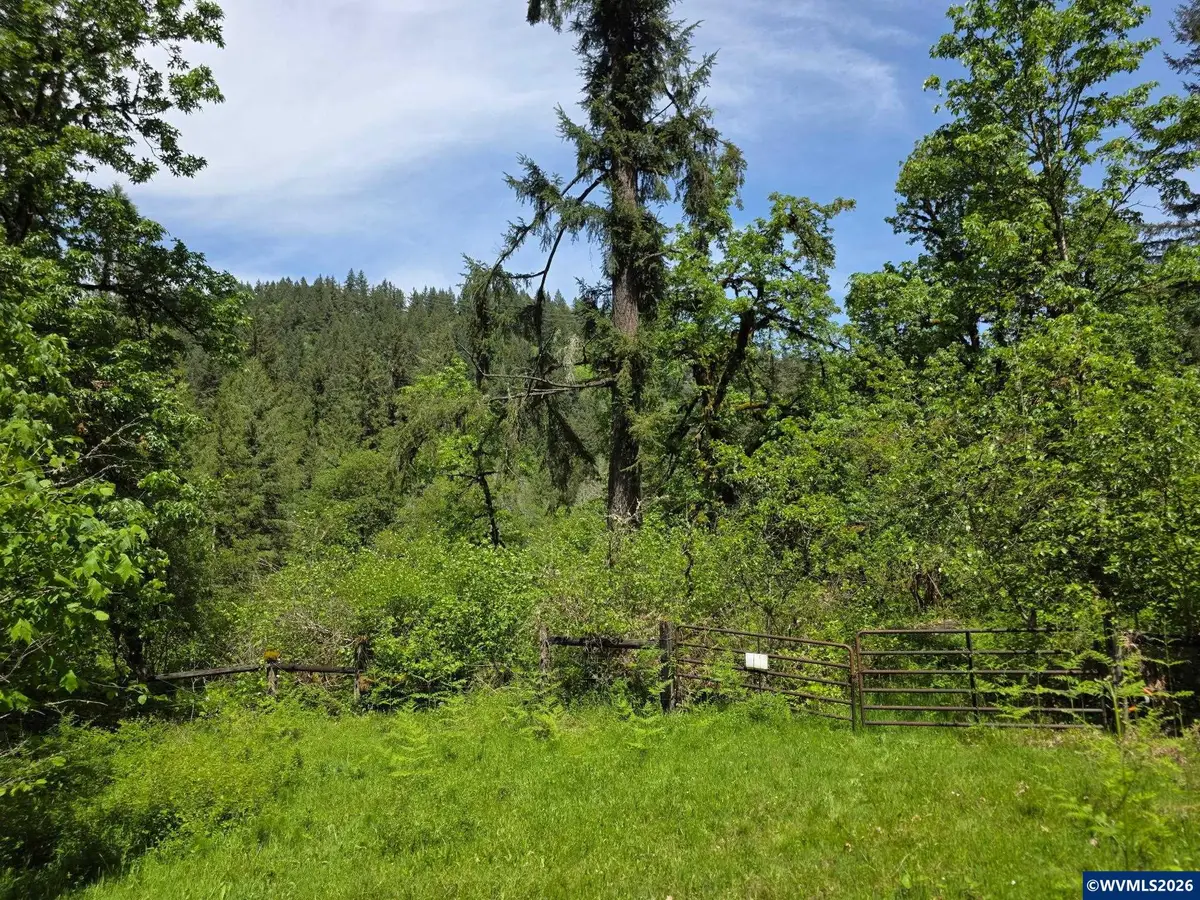 Lot 500  Lewis Cemetery Rd, Silverton, OR 97381 - #1