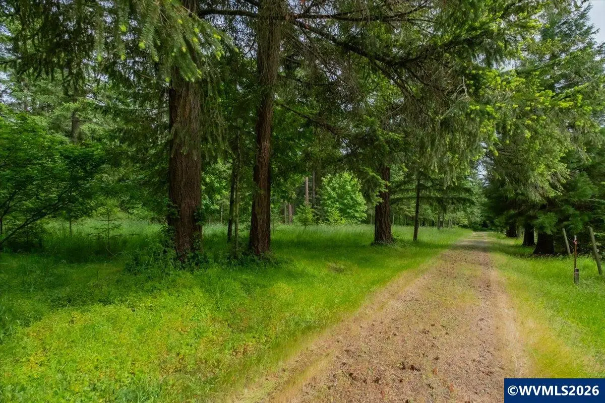TA 0057485  Next to 40587 Rd, Lebanon, OR 97355 - #1