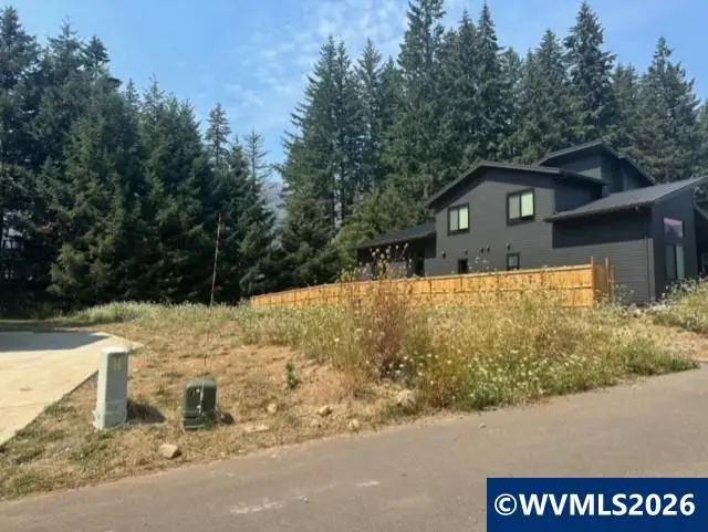 310  Janice Ct, Detroit, OR 97342 - #2