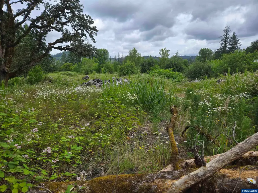 TL 2801 2802  Cascade  Dr, Lebanon, OR 97355 - #3