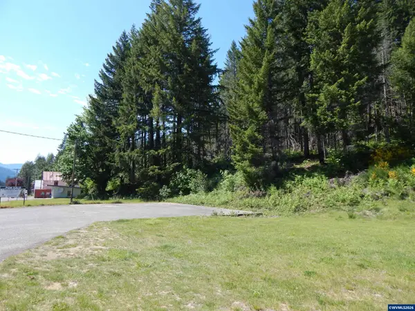 Lot 900 & 1000 N Santiam Hwy, Idanha, OR 97350