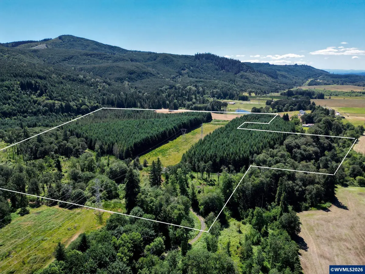 TL 2702 & 2703  S Cedar Mill Rd, Lyons, OR 97358 - #1