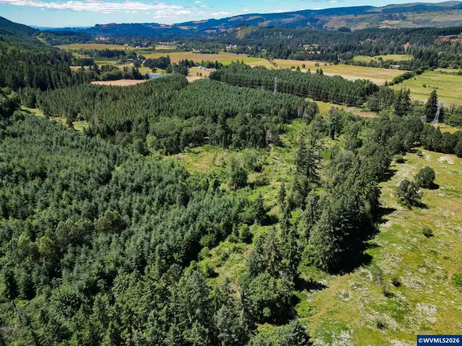 TL 2702 & 2703  S Cedar Mill Rd, Lyons, OR 97358 - #3