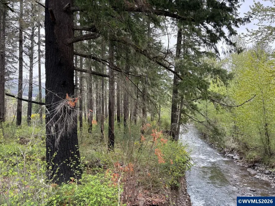 Kingwood Lot #100 Av, Mill City, OR 97360 - #3