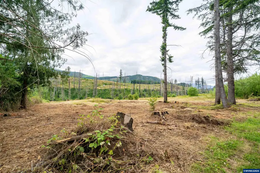 35220  North Santiam Hwy SE, Gates, OR 97346 - #3