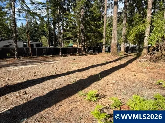 125  Deer St, Detroit, OR 97342 - #1