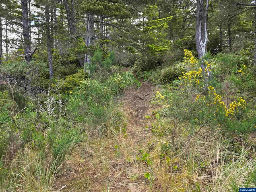 Lot 100  Highway 101, Florence, OR 97439 - #3