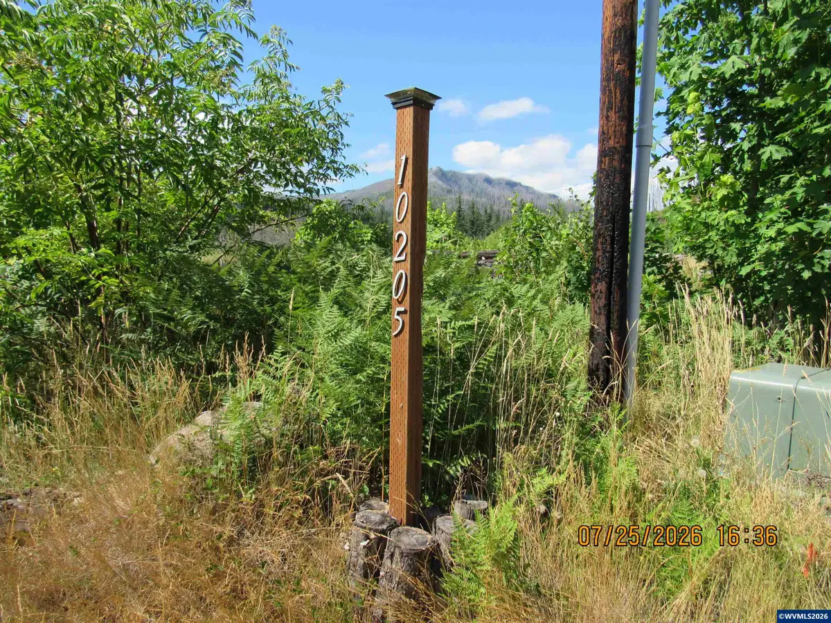 10205  North Fork Ln SE, Lyons, OR 97358 - #1