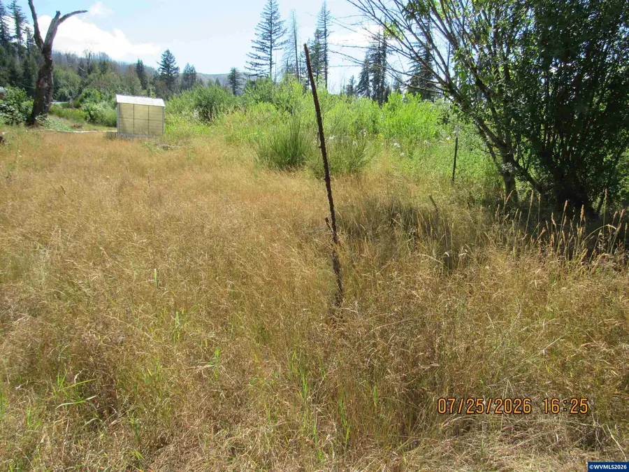 10205  North Fork Ln SE, Lyons, OR 97358 - #3