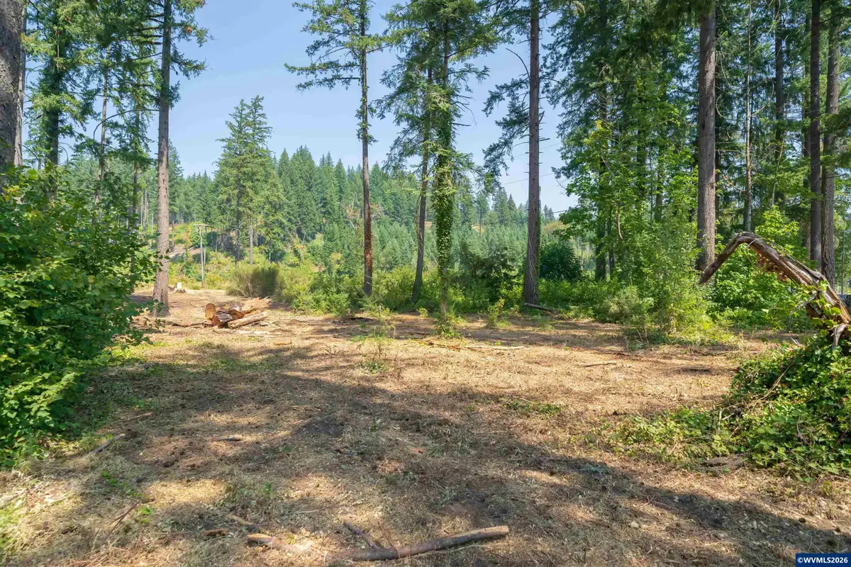 25315  (NEXT TO) Santiam Park Rd SE, Lyons, OR 97358 - #1
