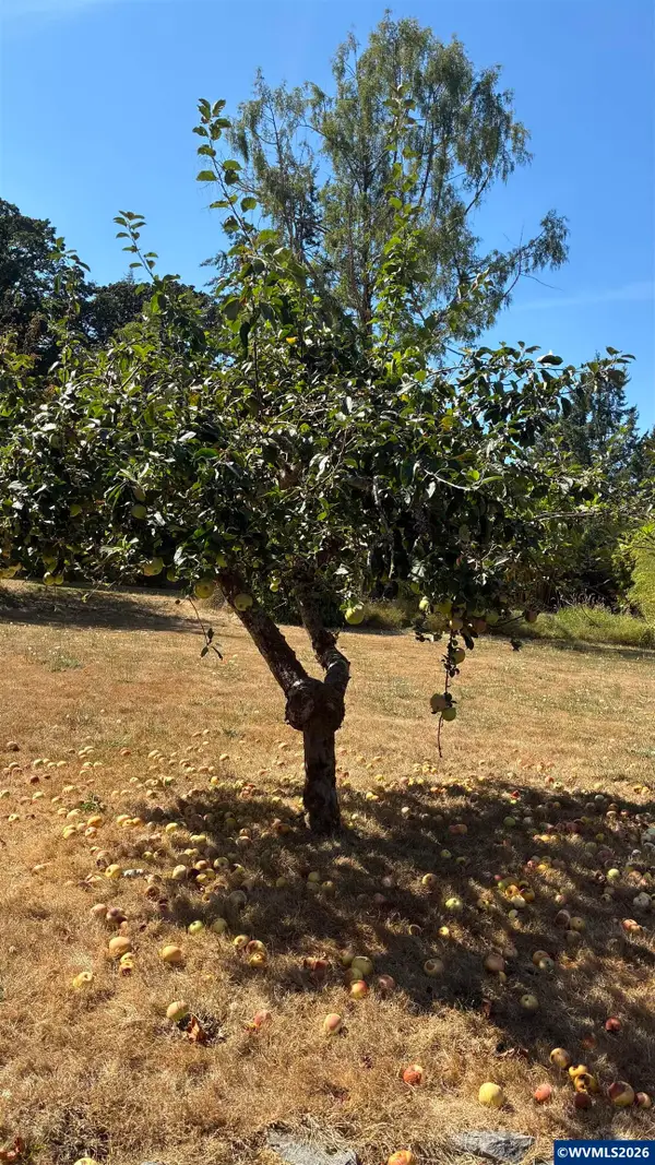 Lot 10 SW Willamette Av, Corvallis, OR 97333