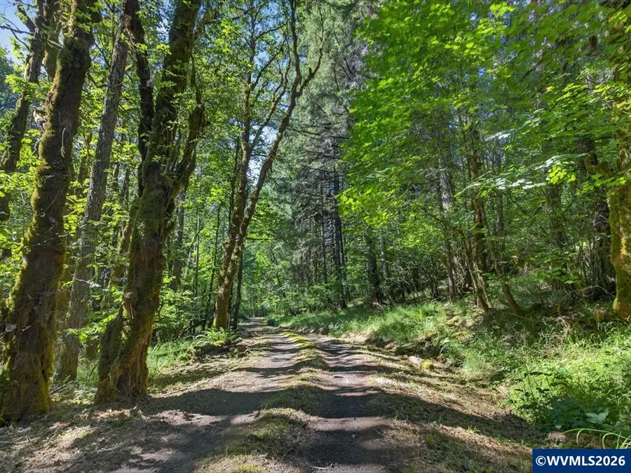 24898  Pleasant View Dr, Philomath, OR 97370 - #3